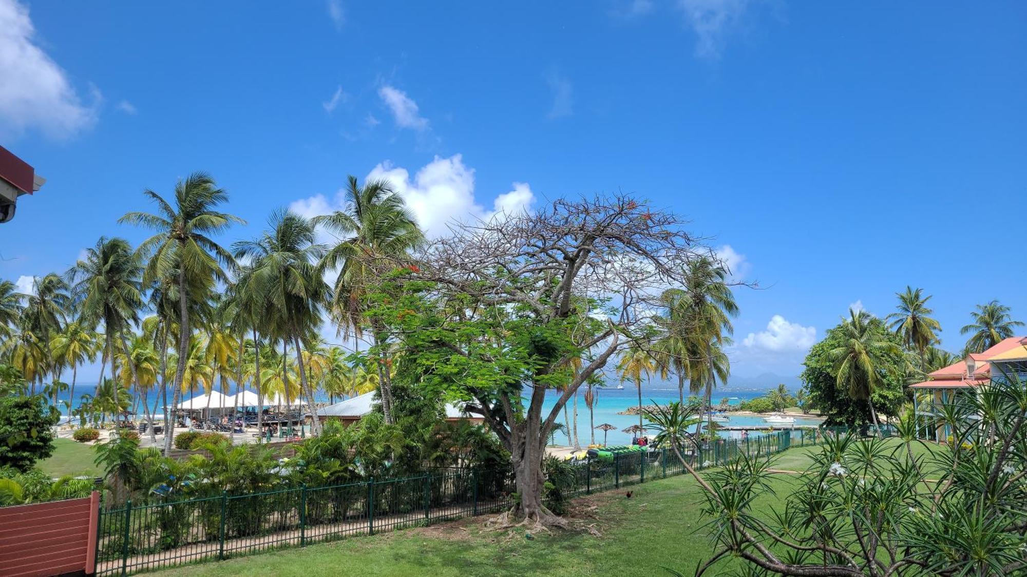Appartement Edenoa/Vue Mer/ Plage/Piscine เลอโกซิเยร์ ภายนอก รูปภาพ